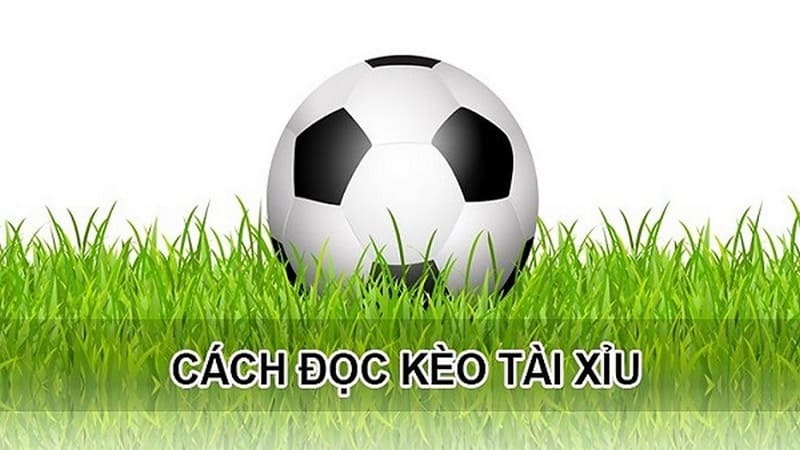 Tìm hiểu cách đọc kèo tài xỉu bóng đá là gì?