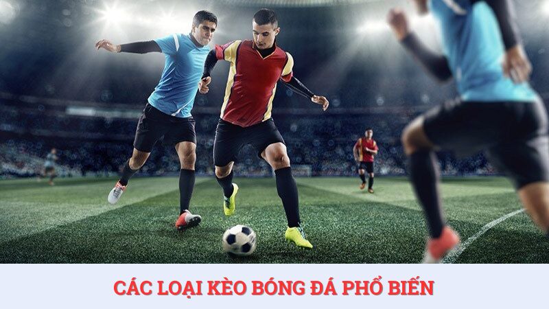 Người chơi muốn có chiến thuật đọc kèo bóng đá hiệu quả thì phải hiểu rõ các loại kèo phổ biến.