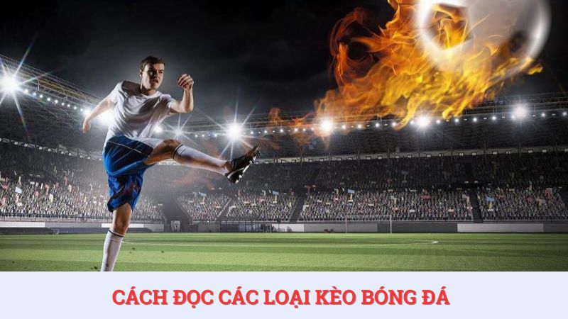 Chiến thuật đọc kèo bóng đá có sự khác nhau đối với từng loại kèo cơ bản.