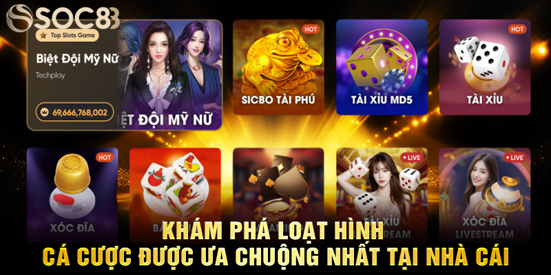 Khám phá loạt hình cá cược được ưa chuộng nhất tại nhà cái